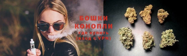 молекула духа Бугульма