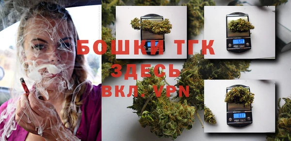 молекула духа Бугульма