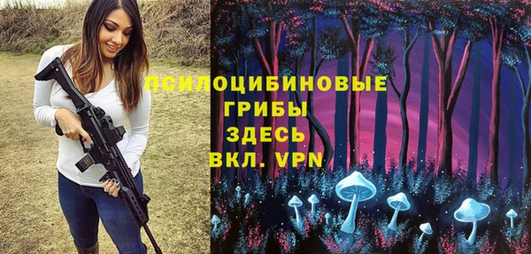 молекула духа Бугульма
