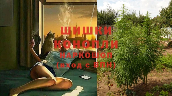 молекула духа Бугульма