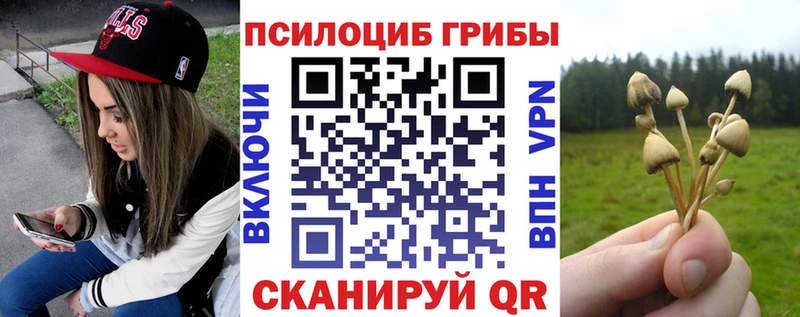 Купить  Гаврилов Посад  Галлюциногенные грибы ЛСД 